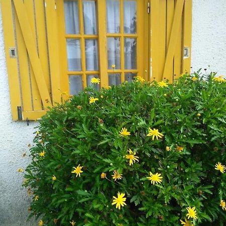 Ferienwohnung Casa Amarela Esmoriz Exterior foto